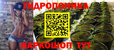 MESCALINE Ачхой-Мартан